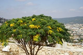 Бейт-Джан, пресс-тур, Фото Израиль в лицах