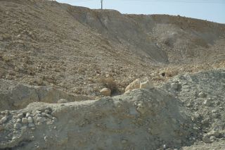 Пресс-тур ККЛ, фото Израиль в лицах